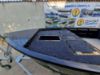 BASS PRO 420T
